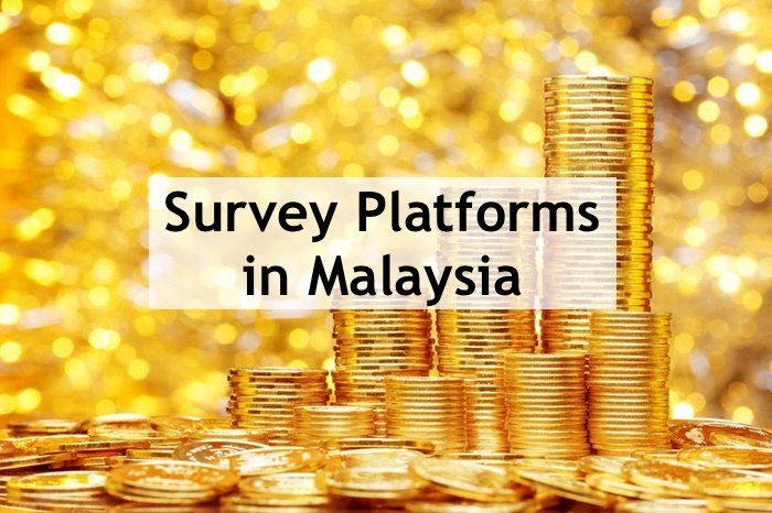 Survey Platforms in Malaysia