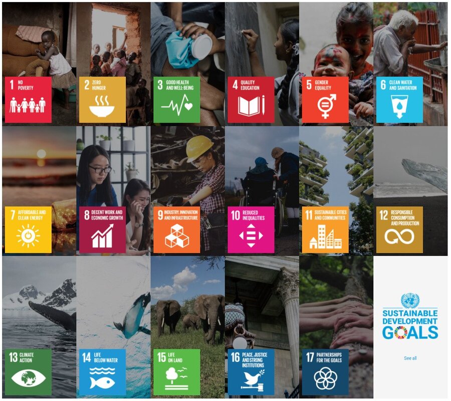 Sustainable Investment - UN Sustainable Development Goals